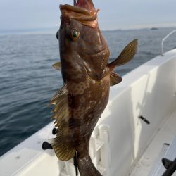 冬の播磨灘沖へタイラバ